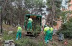 Entrevista/Ripollet afronta la recuperació dels parcs i jardins després de l’esclafit de setembre