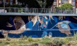 Cerdanyola estrena un nou mural al Riu Sec impulsat pel CIAC i creat per l’artista Taquen Cerdanyola estrena un nou mural al Riu Sec impulsat pel CIAC i creat per l’artista Taquen