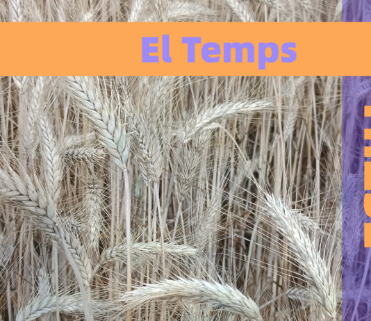 Calor intensa dimecres i canvi de temps dijous a Ripollet